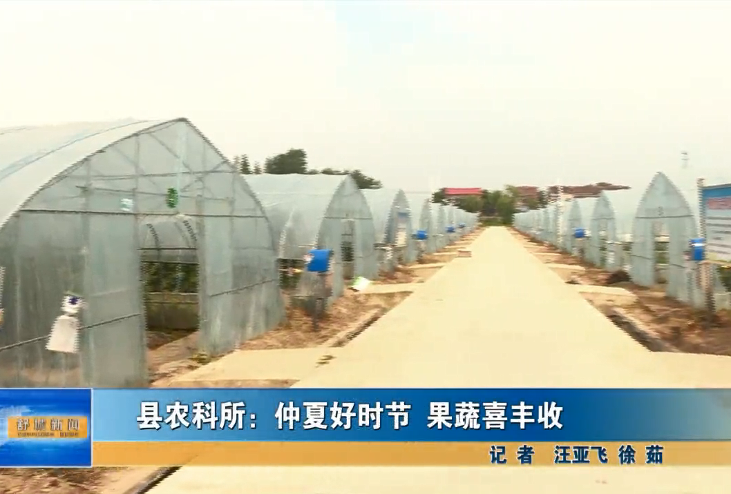 縣農科所：仲夏好時節 果蔬喜豐收